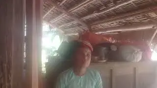 Khắp thái