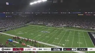 playoff NFC conference championship game 12-5 arizona cardinals x 14-3 seattle seahawks