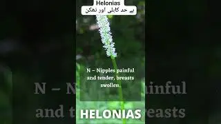 Helonias #homoeopathicmedicine #shorts #helonias #medicine #viralshorts