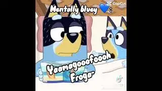 Physically a teen mentally bluey ￼