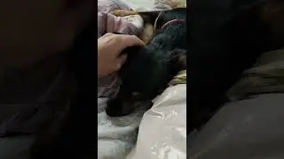царство Божье