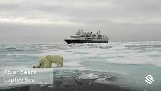 Destination Experience, Polar Bear Short, East Siberian Sea