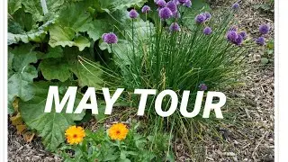 May plot tour