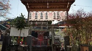 Descubra Satoyama: c&oacute;mo las comunidades japonesas viven en armon&iacute;a con la naturaleza