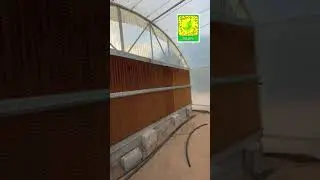 طريقة الحد من تراكم الاملاح على خلايا التبريد