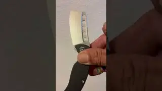 Shieldon &ldquo;Gambit&rdquo;