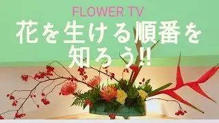 フラワーアレンジメントの花を生ける順番を知ることが上達の近道~How to make a flowerarrangement.