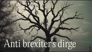 Anti brexiter's death rattle