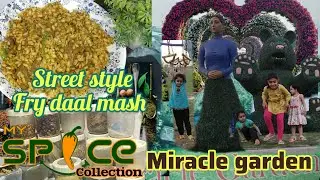 My Spice Collection | Daal Mash Dhaba Style  | فرائی دال ماش | Miracle Garden 2023 @Angel'sshiny