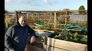 How Do I Use Sheeps wool On My Temporary Pallet Collar Compost Bins To Keep The Heat In