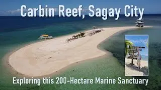 Carbin Reef, Sagay City. Visit to the 200-Hectare Marine Sanctuary in Negros Occidental