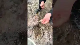 Outdoor Fishing technique EP-108 | Creative Fishing