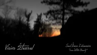 Vision &Eacute;ternel - Love Within Beauty