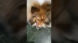 my baby lick her feet