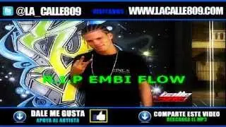EMBI FLOW A.K.A.  EL ALOCAO 40 - SUS MEJORES VERSOS  (PARTE FINAL)