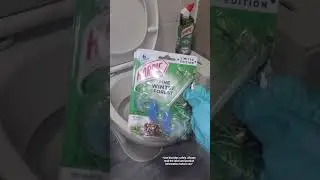 Harpic toilet Cleaner