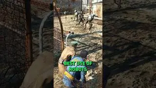 Ваши товарищи наслаждаются гонками роботов в Fallout 4