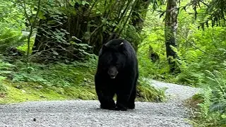 Minnekhada Regional Park