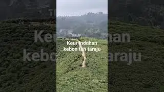 suasana yang sejuk ,tiis celi herang panon