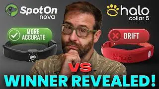 SpotOn Nova vs Halo Collar 5 — After Testing Both, Only One Was Truly Accurate