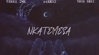 InsideMen-NKATEMESA (Official Audio)
