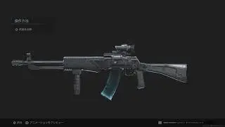 AN-94 AR The Company's Might SEASON5 BATTLEPASS VARIANTS Gun Skin blueprint COD MW 設計図 武器スキン バトルパス