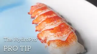 The HydroPro Plus | Sous Vide Lobster | Breville PolyScience