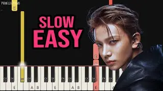 ENHYPEN - Lost Island | SLOW EASY Piano Tutorial by Pianella Piano
