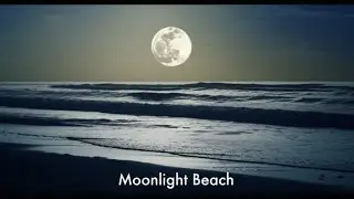 Moonlight Beach - Official Music Video | Ultra Chill Island Vibes (EM1 Malletstation)