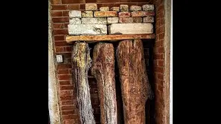 VENICE - The submerged forest you didn't know about - PART 2