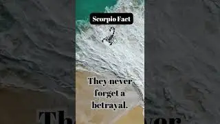 Scorpio Facts #scorpio #gypsymin