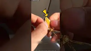 He Made A Ring From A Chocolate Wrapper