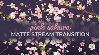 Pink Sakura Cherry Blossom Matte Stream Transition &ndash; OBS & Streamlabs Twitch Stinger