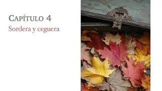El Plan de tu Alma. Robert Schwartz. Capítulo 4. (audiolibro)