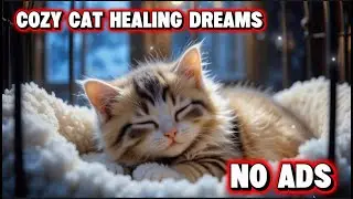 🔴12 Hours Of Calming Music for Cats 😻 Peaceful Healing Tunes for Restless Pets & Relaxation