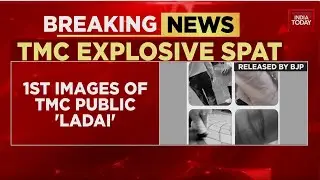 TMC MPs Engage in Public Spat Outside Election Commission Office; BJP Releases Video | India Today