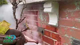 Paint removal London | How to remove paint from brickwork