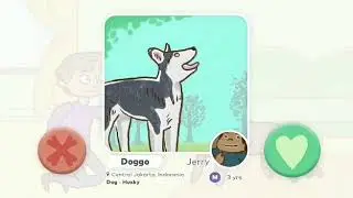 The app your pet really needs, from grooming to finding playdates!