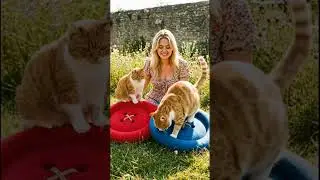 [Purrfect Pillow Talk]