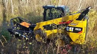 2019 Fall Brush Cutting - Skid Pro Open Face - Cat 262D