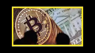 Bitcoin slump sees trades suspended- Breaking News TNC -