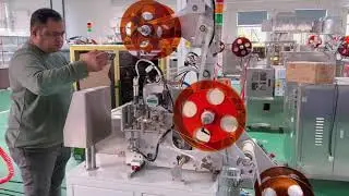 Pyramid Tea Bag Roll Labeling Machine for India #packagingmachine #pyramidteabag #pyramidtea