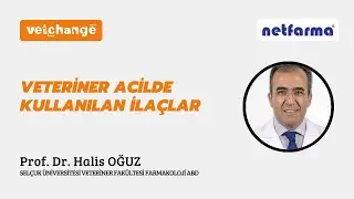 Veteriner Acilde Kullanılan İlaçlar 
