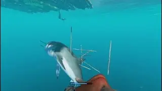 Stranded Deep - Killing Great White Shark