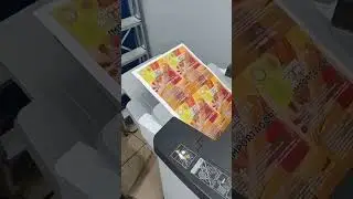 Dia de impress&atilde;o de panfletos no offset 90g com a Ricoh MP C6503 l&aacute; da SM Impressoras. Chama! 🔥