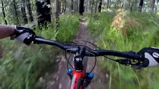 'JJ's' loop descent. Silvan trails