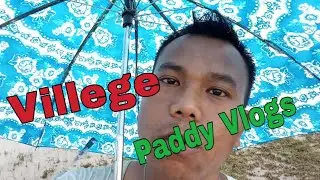 Village Paddy Vlogs ।। Lower Assam Ka