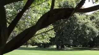 Conyers Farm Estate   Greenwich CT HD720