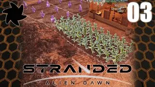 Stranded Alien Dawn - 03 - All The Crops