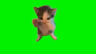 Cat Scuba Dancing Meme 😂 | Cat Scuba Dancing Green Screen | Funny Dancing Cats Compilation
